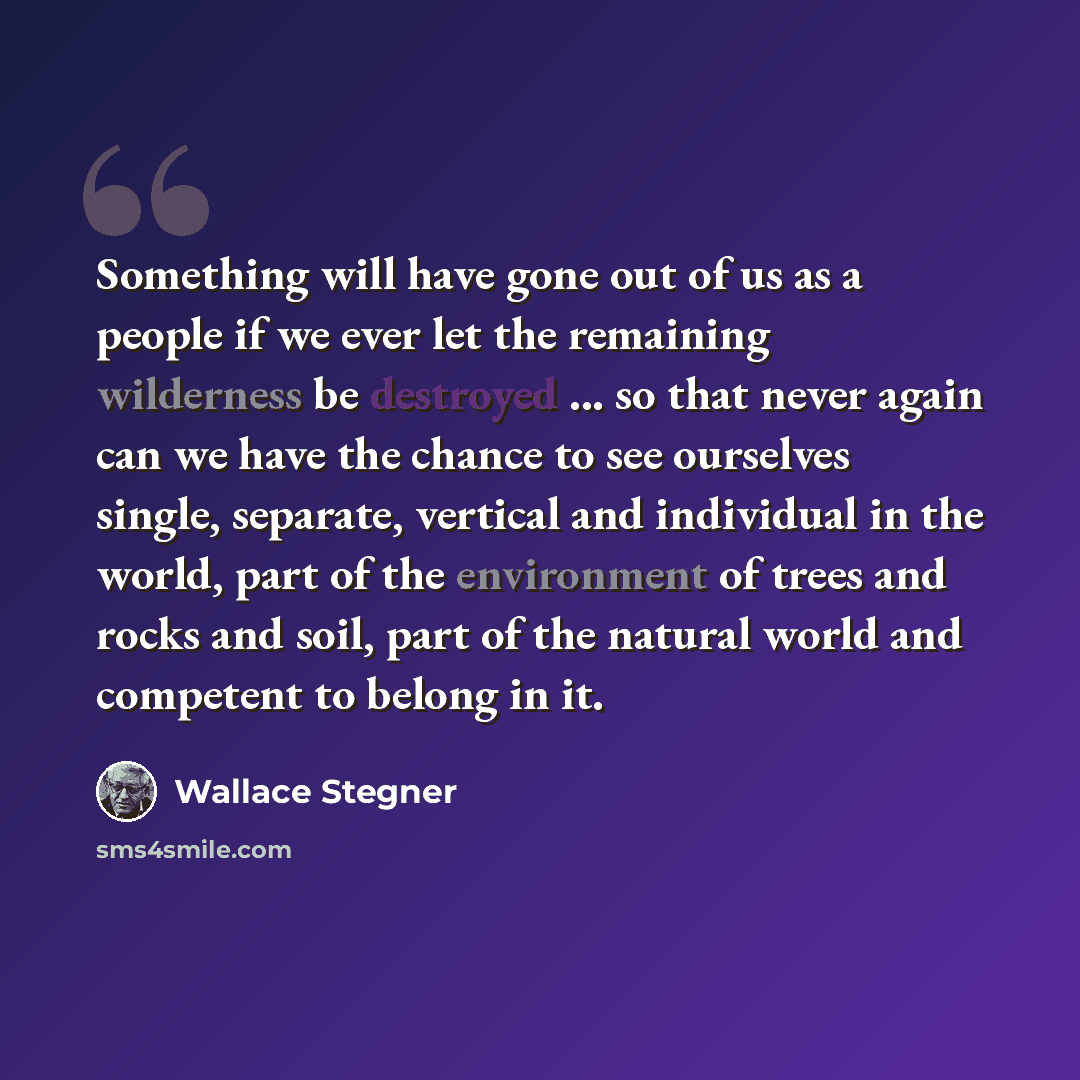 “Something will have gone out of us as a people if we ever let the remaining wilderness be destroyed ... so that never again can we have the chance to see ourselves single, separate, vertical and individual in the world, part of the environment of trees and rocks and soil, part of the natural world…” quote by Wallace Stegner