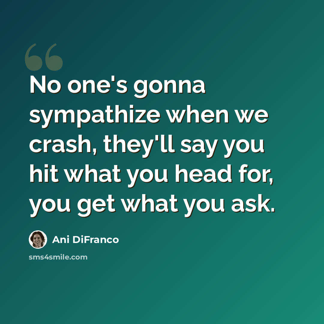 “No one's gonna sympathize when we crash, they'll say you hit what you head for, you get what you ask.” quote by Ani DiFranco
