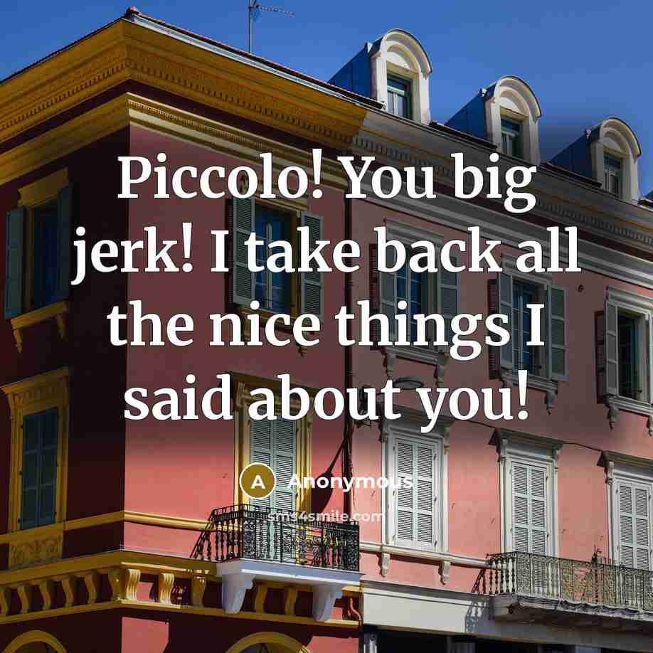 “Piccolo! You big jerk! I take back all the nice things I said about you!” quote by Anonymous