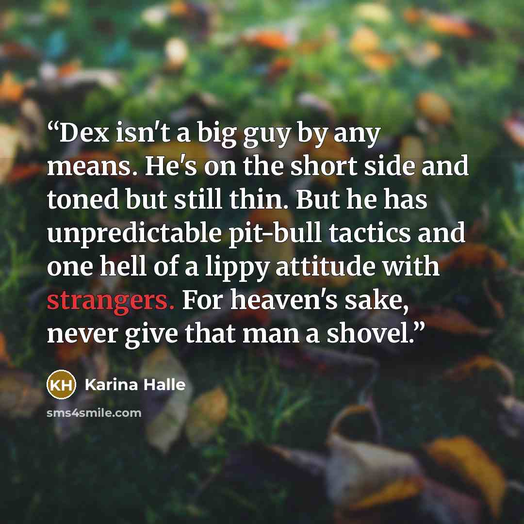 “Dex isn't a big guy by any means. He's on the short side and toned but still thin. But he has unpredictable pit-bull tactics and one hell of a lippy attitude with strangers. For heaven's sake, never give that man a shovel.” quote by Karina Halle