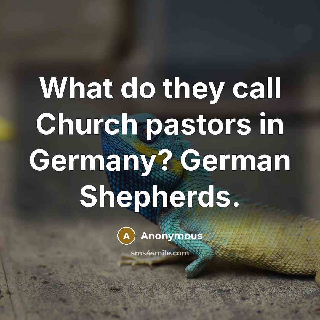 “What do they call Church pastors in Germany? German Shepherds.” quote by Anonymous