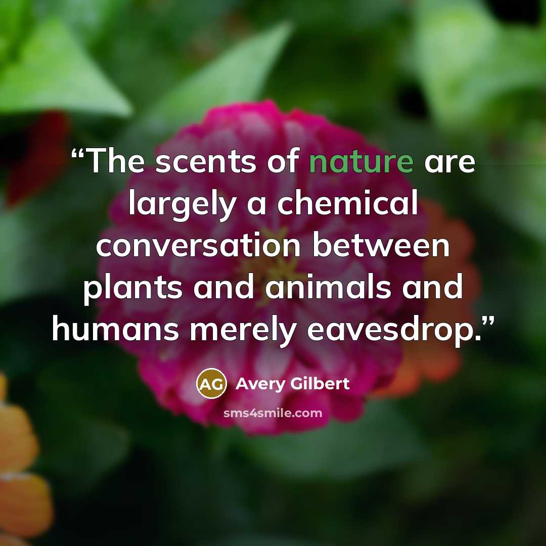 “The scents of nature are largely a chemical conversation between plants and animals and humans merely eavesdrop.” quote by Avery Gilbert