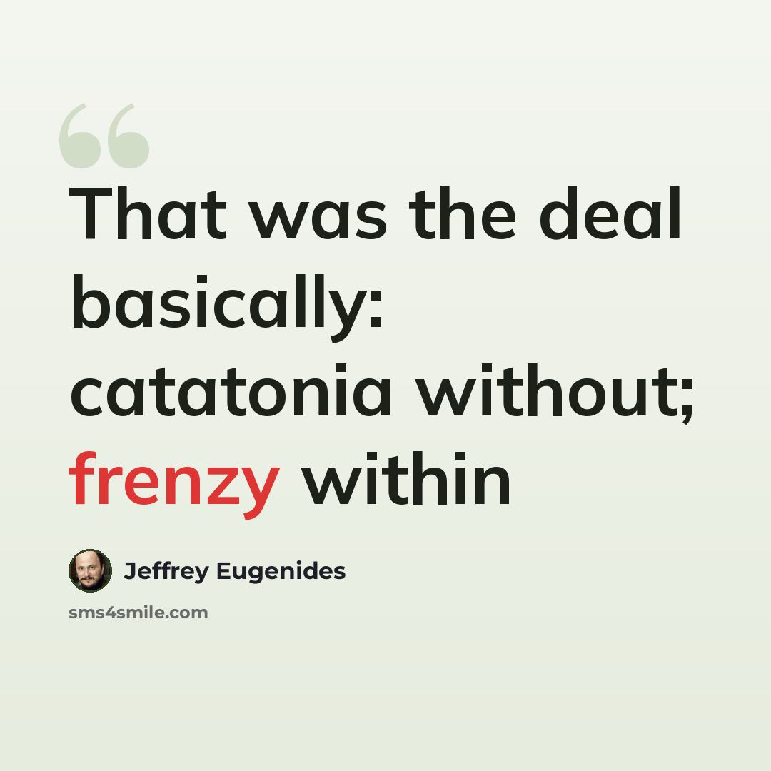 “That was the deal basically: catatonia without; frenzy within” quote by Jeffrey Eugenides