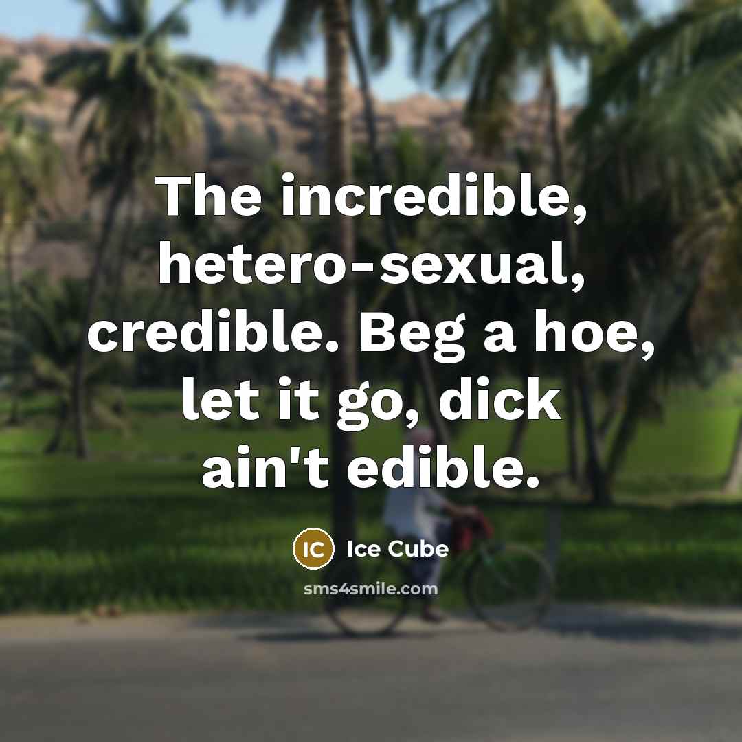 “The incredible, hetero-sexual, credible. Beg a hoe, let it go, dick ain't edible.” quote by Ice Cube