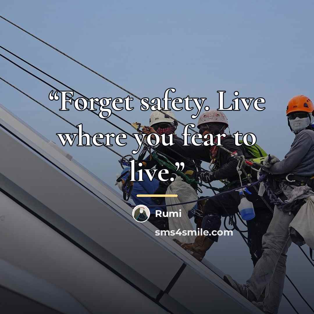 “Forget safety. Live where you fear to live.” quote by Rumi
