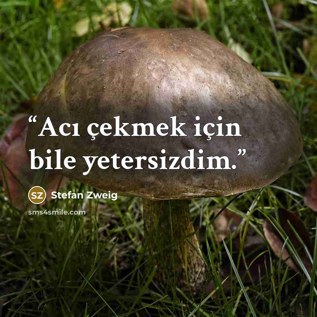 “Acı çekmek için bile yetersizdim.” quote by Stefan Zweig