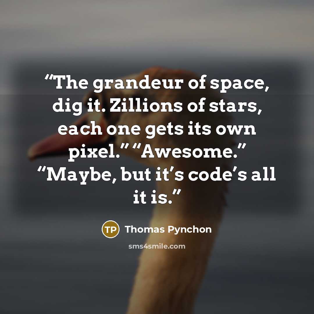 “The grandeur of space, dig it. Zillions of stars, each one gets its own pixel.” “Awesome.” “Maybe, but it’s code’s all it is.” quote by Thomas Pynchon