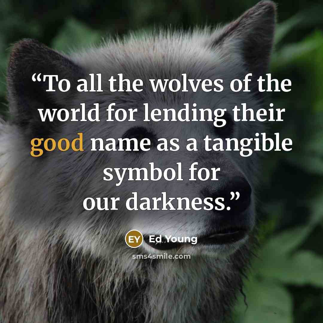 “To all the wolves of the world for lending their good name as a tangible symbol for our darkness.” quote by Ed Young
