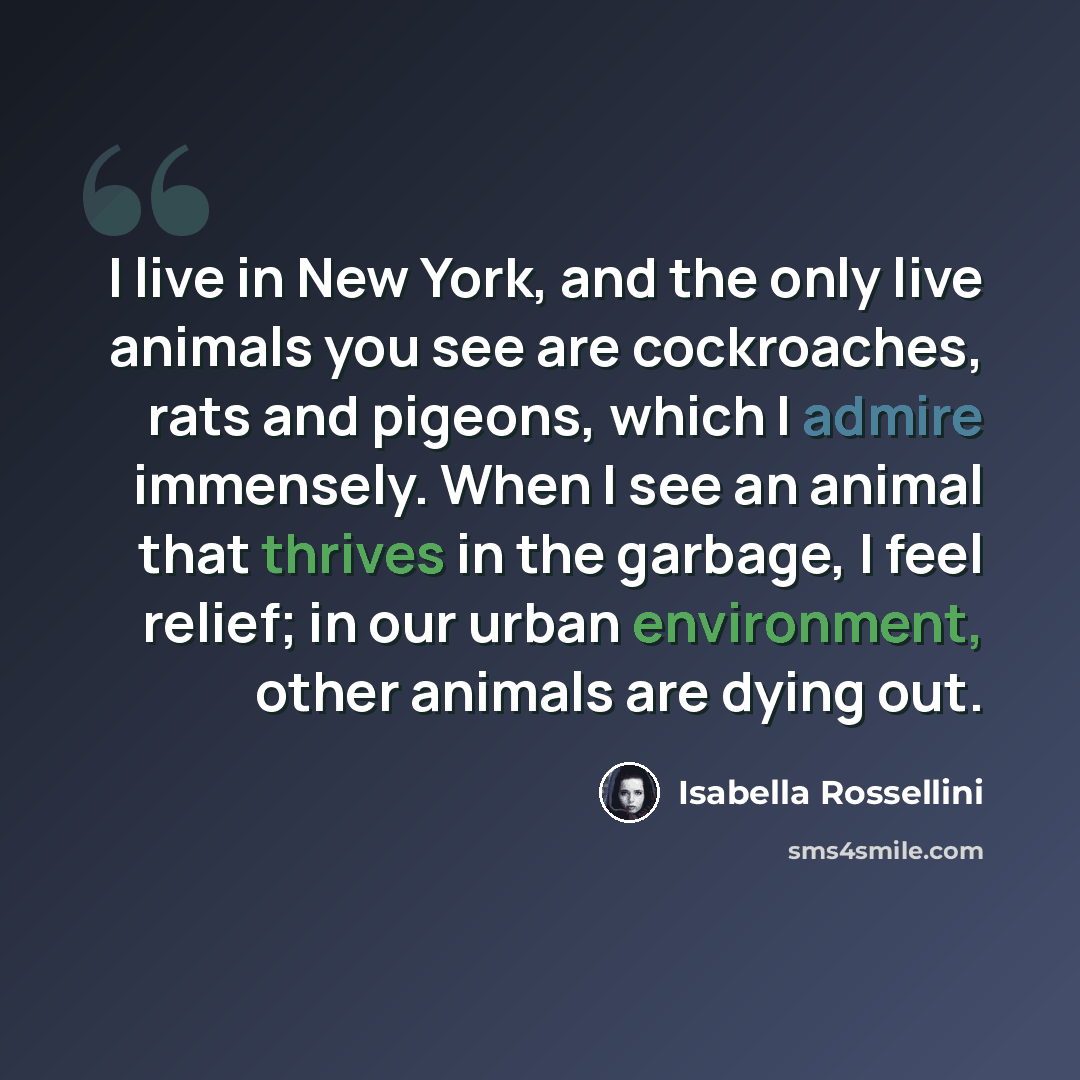 “I live in New York, and the only live animals you see are cockroaches, rats and pigeons, which I admire immensely. When I see an animal that thrives in the garbage, I feel relief; in our urban environment, other animals are dying out.” quote by Isabella Rossellini
