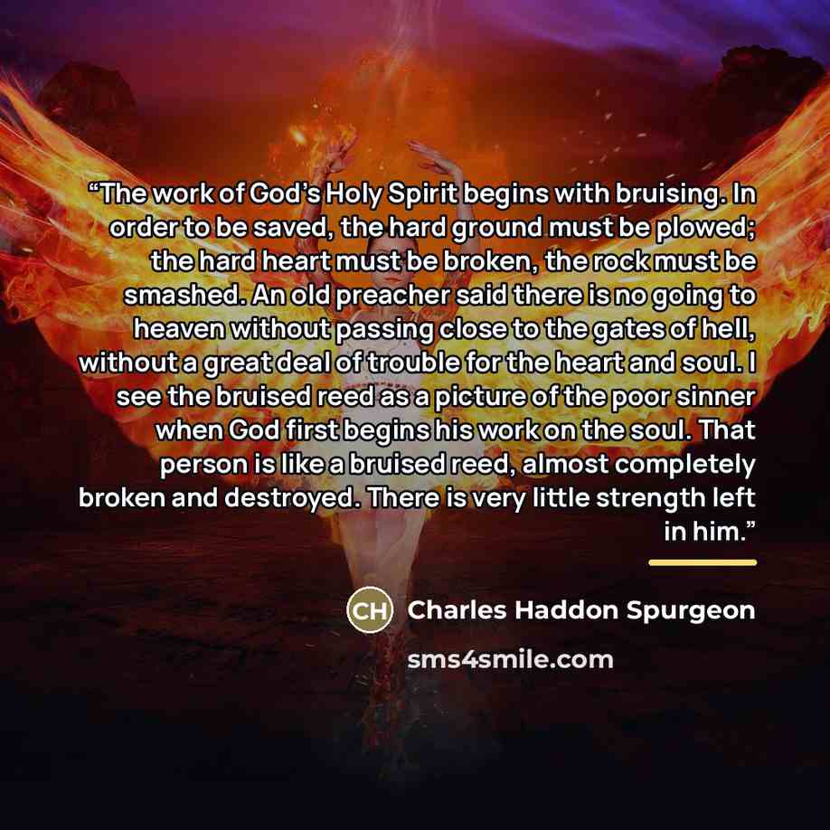 “The work of God’s Holy Spirit begins with bruising. In order to be saved, the hard ground must be plowed; the hard heart must be broken, the rock must be smashed. An old preacher said there is no going to heaven without passing close to the gates of hell, without a great deal of trouble for the…” quote by Charles Haddon Spurgeon