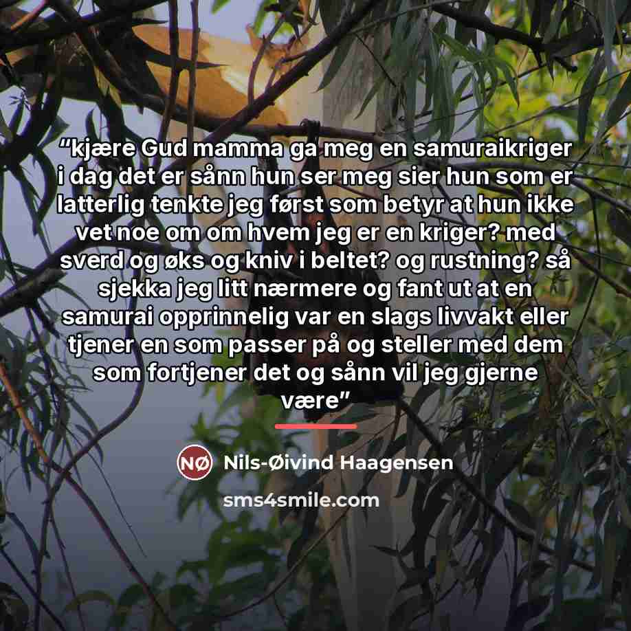 “kjære Gud mamma ga meg en samuraikriger i dag det er sånn hun ser meg sier hun som er latterlig tenkte jeg først som betyr at hun ikke vet noe om om hvem jeg er en kriger? med sverd og øks og kniv i beltet? og rustning? så sjekka jeg litt nærmere og fant ut at en samurai opprinnelig var en slags…” quote by Nils-Øivind Haagensen