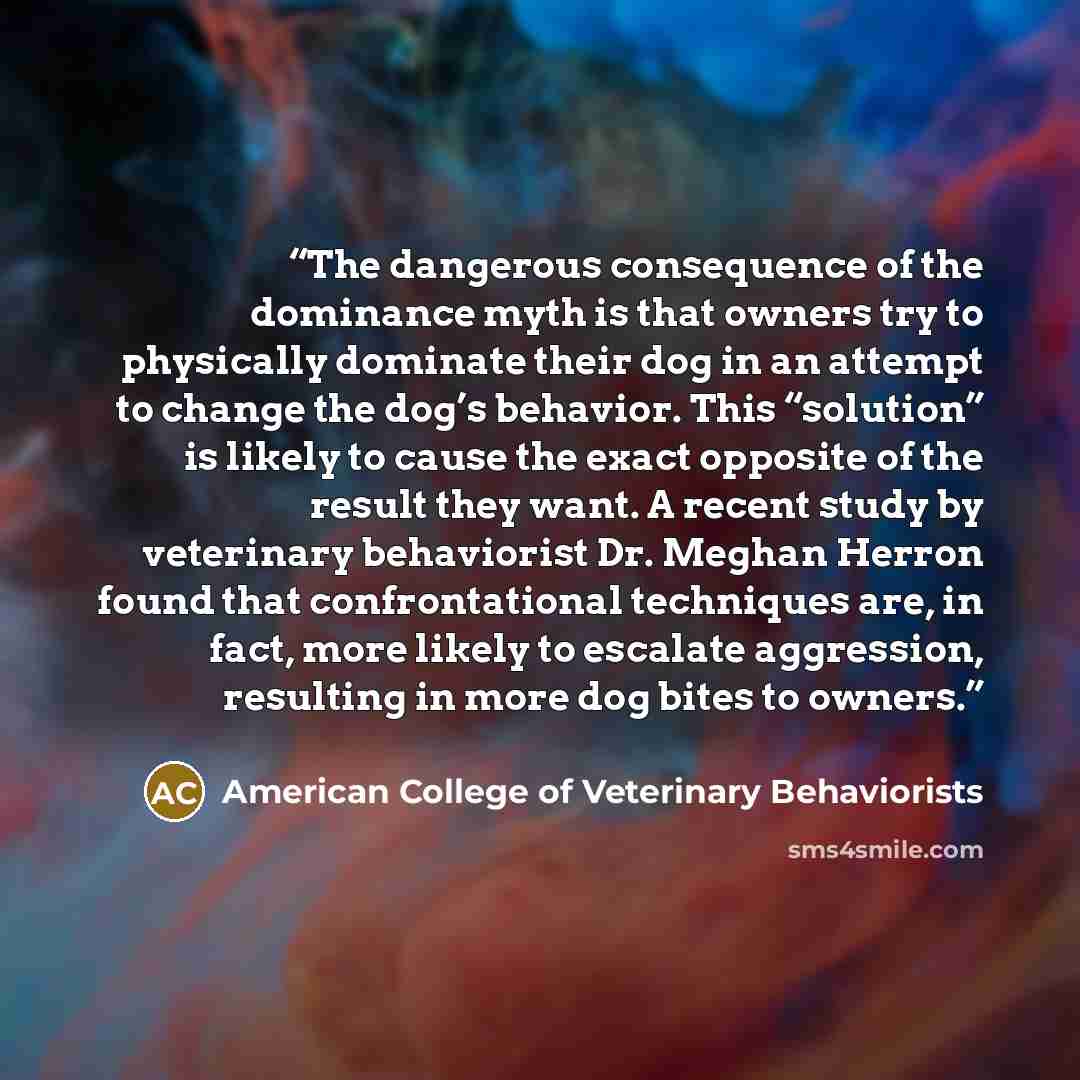 “The dangerous consequence of the dominance myth is that owners try to physically dominate their dog in an attempt to change the dog’s behavior. This “solution” is likely to cause the exact opposite of the result they want. A recent study by veterinary behaviorist Dr. Meghan Herron found that…” quote by American College of Veterinary Behaviorists