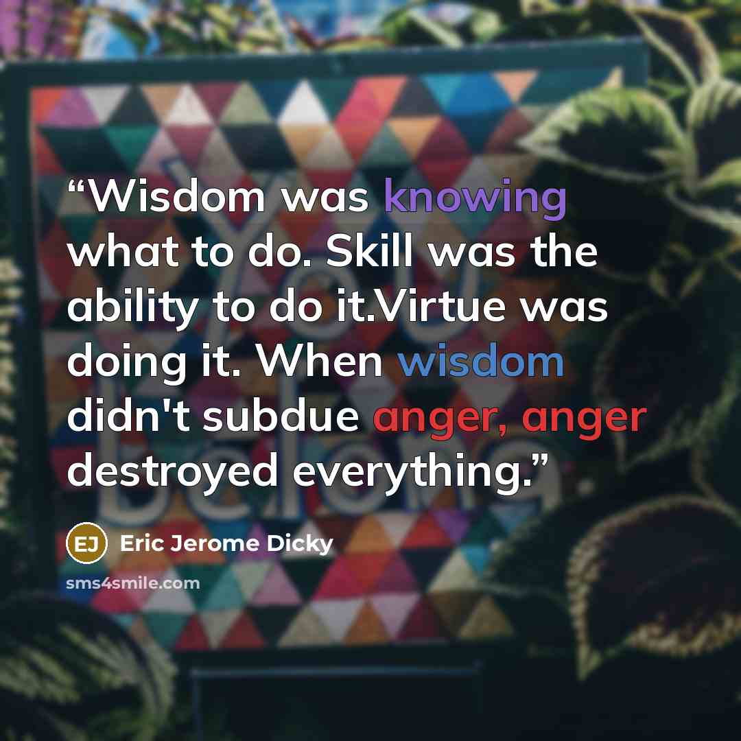 “Wisdom was knowing what to do. Skill was the ability to do it.Virtue was doing it. When wisdom didn't subdue anger, anger destroyed everything.” quote by Eric Jerome Dicky