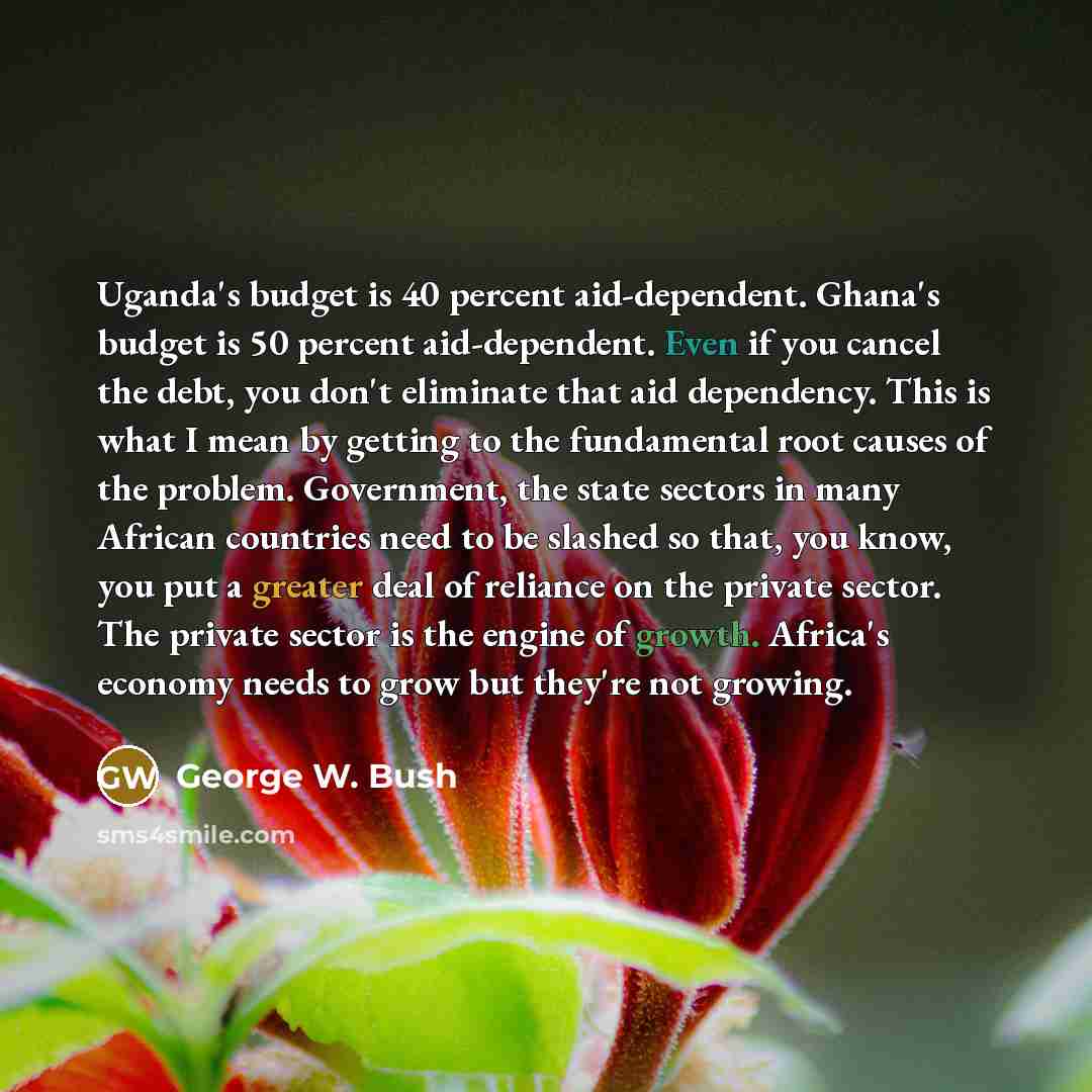 “Uganda's budget is 40 percent aid-dependent. Ghana's budget is 50 percent aid-dependent. Even if you cancel the debt, you don't eliminate that aid dependency. This is what I mean by getting to the fundamental root causes of the problem. Government, the state sectors in many African countries need…” quote by George W. Bush