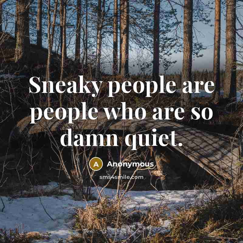 “Sneaky people are people who are so damn quiet.” quote by Anonymous