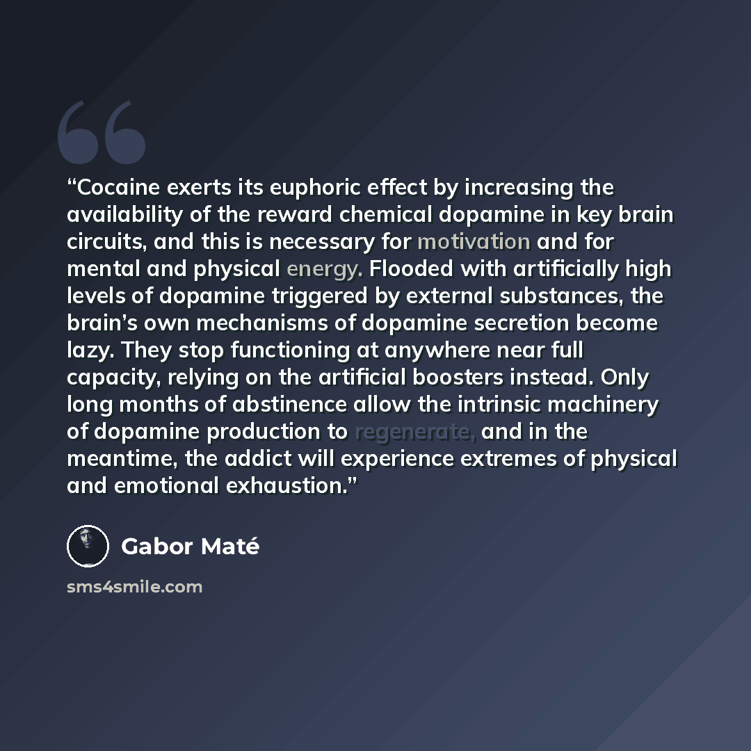 “Cocaine exerts its euphoric effect by increasing the availability of the reward chemical dopamine in key brain circuits, and this is necessary for motivation and for mental and physical energy. Flooded with artificially high levels of dopamine triggered by external substances, the brain’s own…” quote by Gabor Maté
