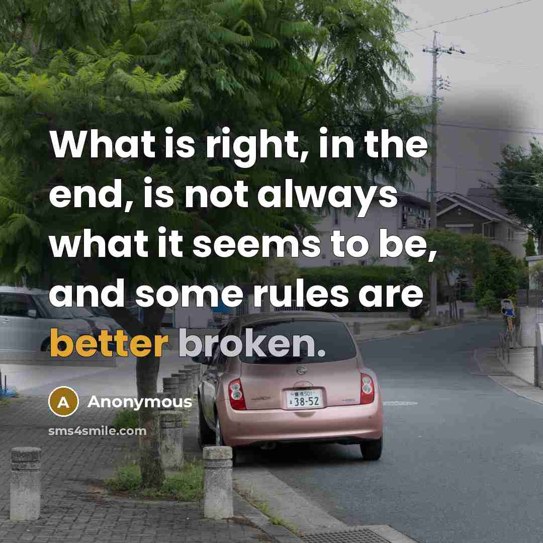 “What is right, in the end, is not always what it seems to be, and some rules are better broken.” quote by Anonymous