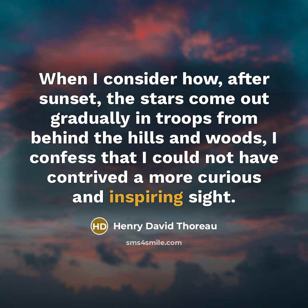 “When I consider how, after sunset, the stars come out gradually in troops from behind the hills and woods, I confess that I could not have contrived a more curious and inspiring sight.” quote by Henry David Thoreau