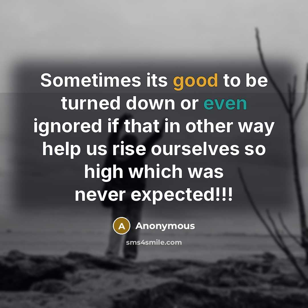 “Sometimes its good to be turned down or even ignored if that in other way help us rise ourselves so high which was never expected!!!” quote by Anonymous
