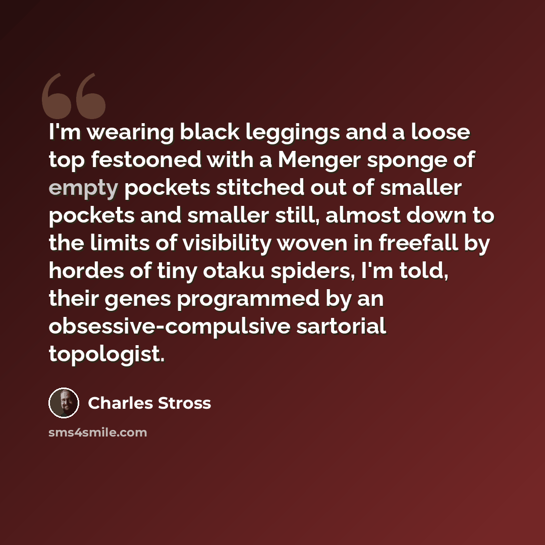 “I'm wearing black leggings and a loose top festooned with a Menger sponge of empty pockets stitched out of smaller pockets and smaller still, almost down to the limits of visibility woven in freefall by hordes of tiny otaku spiders, I'm told, their genes programmed by an obsessive-compulsive…” quote by Charles Stross