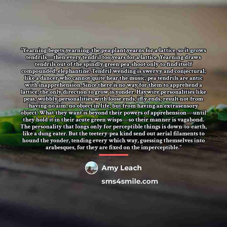 “Yearning begets yearning: the pea plant yearns for a lattice, so it grows tendrils—then every tendril too years for a lattice. Yearning draws tendrils out of the spindly green pea-shoot only to find itself compounded, elephantine. Tendril wending is swervy and conjectural; like a dancer who cannot…” quote by Amy Leach