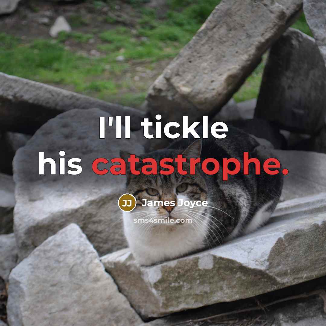 “I'll tickle his catastrophe.” quote by James Joyce