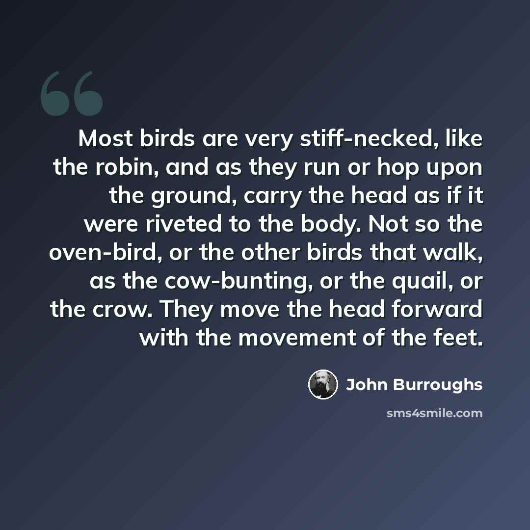 “Most birds are very stiff-necked, like the robin, and as they run or hop upon the ground, carry the head as if it were riveted to the body. Not so the oven-bird, or the other birds that walk, as the cow-bunting, or the quail, or the crow. They move the head forward with the movement of the feet.” quote by John Burroughs