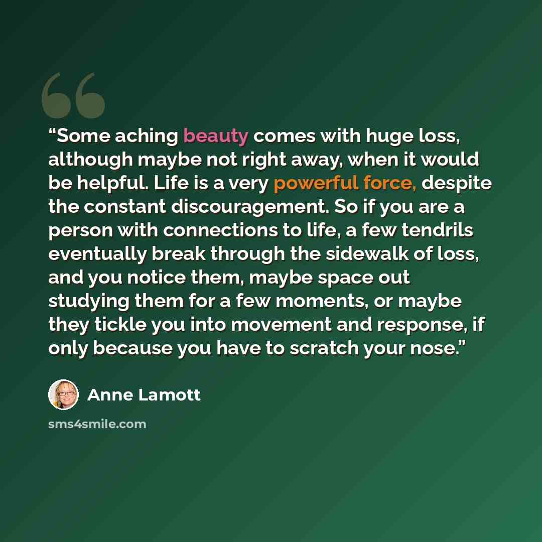 “Some aching beauty comes with huge loss, although maybe not right away, when it would be helpful. Life is a very powerful force, despite the constant discouragement. So if you are a person with connections to life, a few tendrils eventually break through the sidewalk of loss, and you notice them…” quote by Anne Lamott