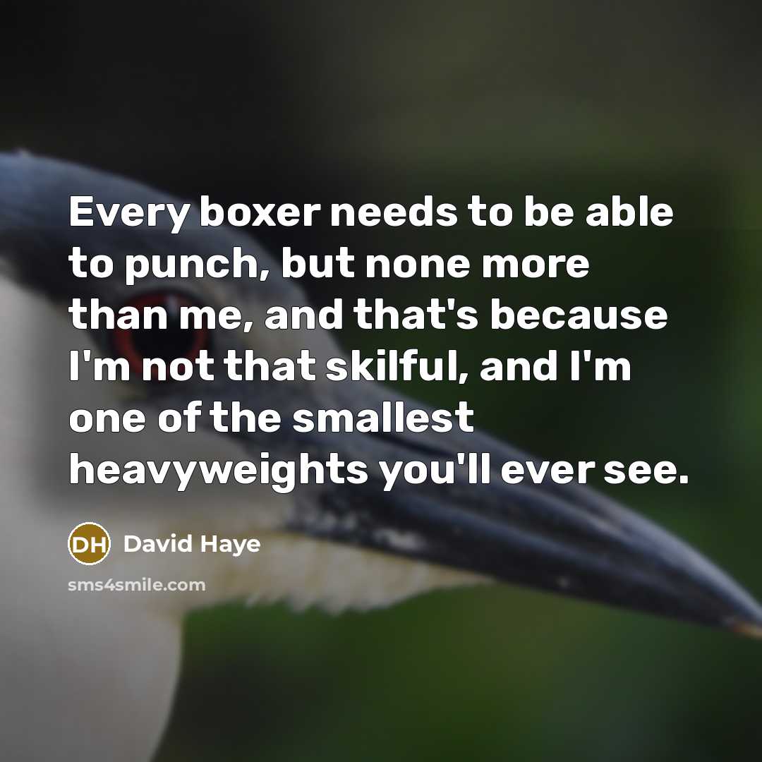“Every boxer needs to be able to punch, but none more than me, and that's because I'm not that skilful, and I'm one of the smallest heavyweights you'll ever see.” quote by David Haye