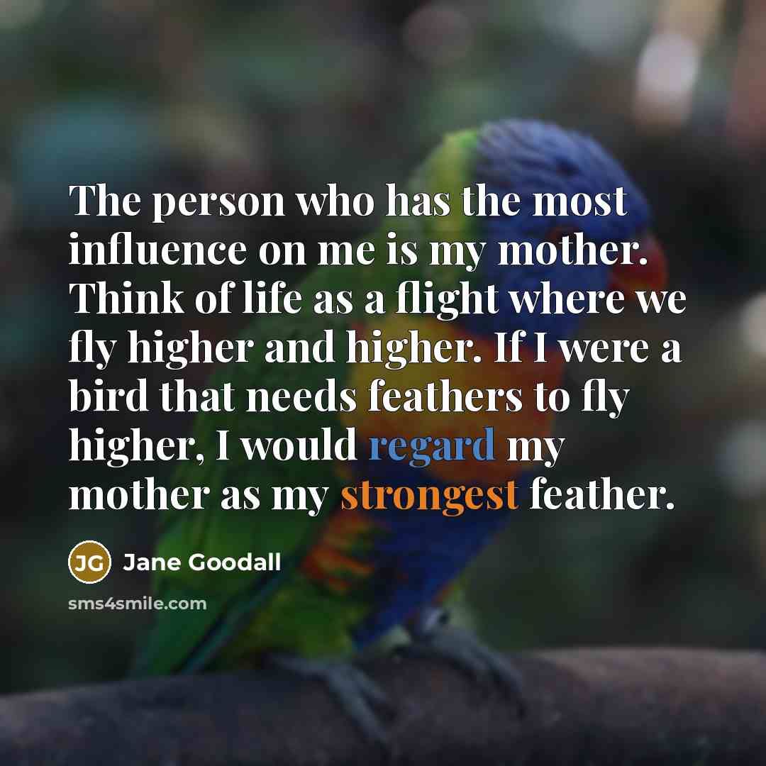 “The person who has the most influence on me is my mother. Think of life as a flight where we fly higher and higher. If I were a bird that needs feathers to fly higher, I would regard my mother as my strongest feather.” quote by Jane Goodall