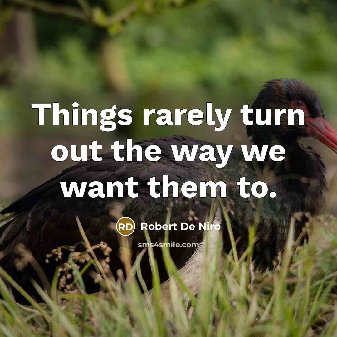 “Things rarely turn out the way we want them to.” quote by Robert De Niro