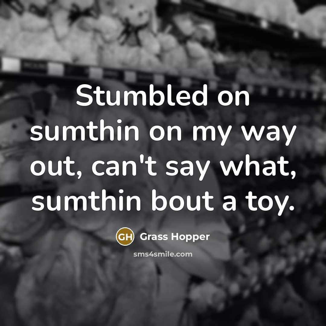 “Stumbled on sumthin on my way out, can't say what, sumthin bout a toy.” quote by Grass Hopper