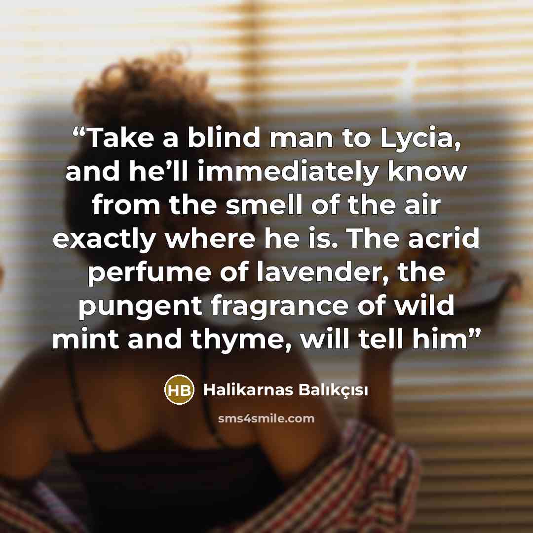 “Take a blind man to Lycia, and he’ll immediately know from the smell of the air exactly where he is. The acrid perfume of lavender, the pungent fragrance of wild mint and thyme, will tell him” quote by Halikarnas Balıkçısı