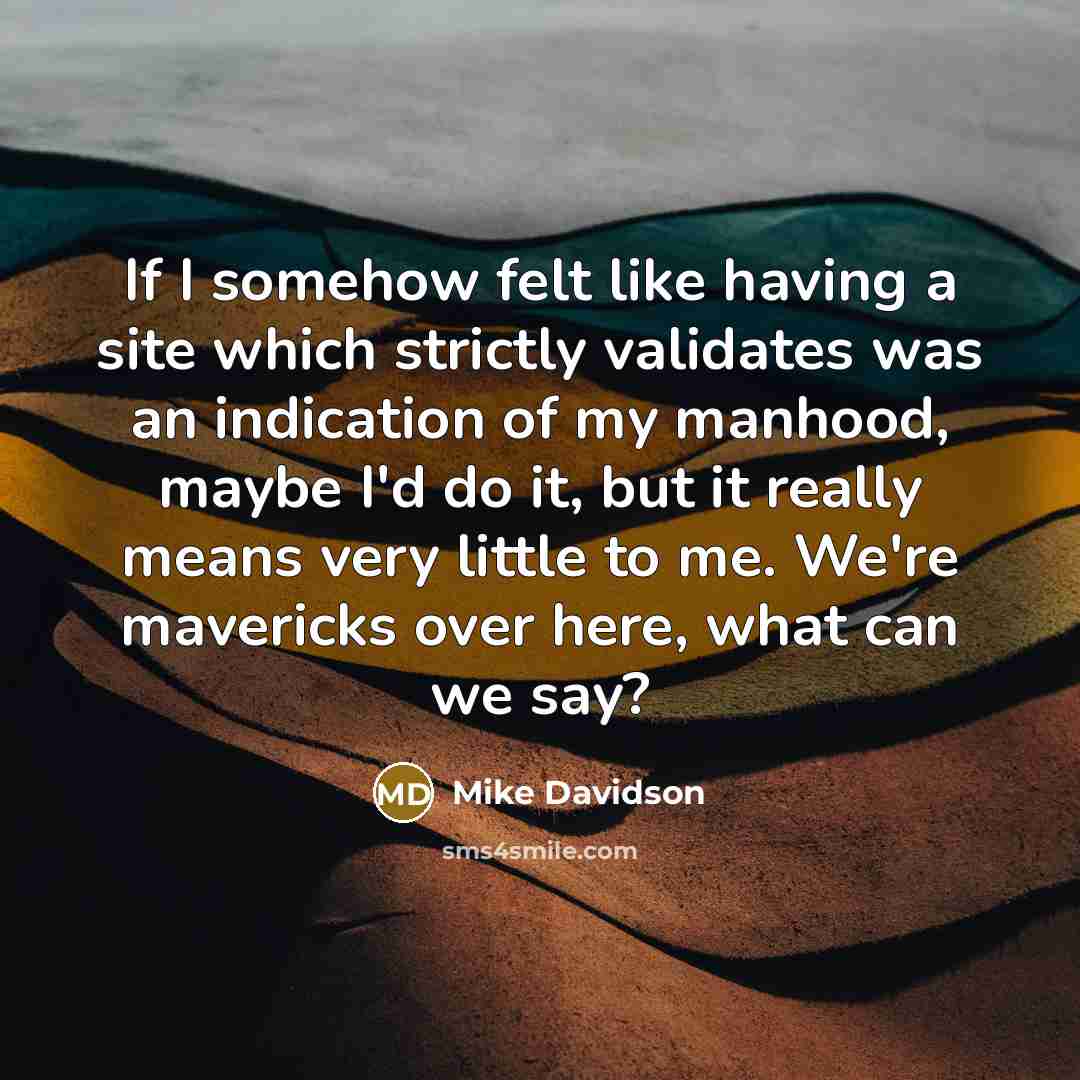 “If I somehow felt like having a site which strictly validates was an indication of my manhood, maybe I'd do it, but it really means very little to me. We're mavericks over here, what can we say?” quote by Mike Davidson