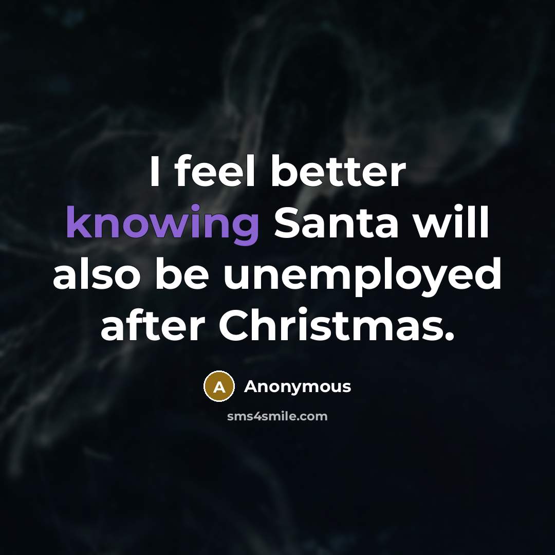“I feel better knowing Santa will also be unemployed after Christmas.” quote by Anonymous