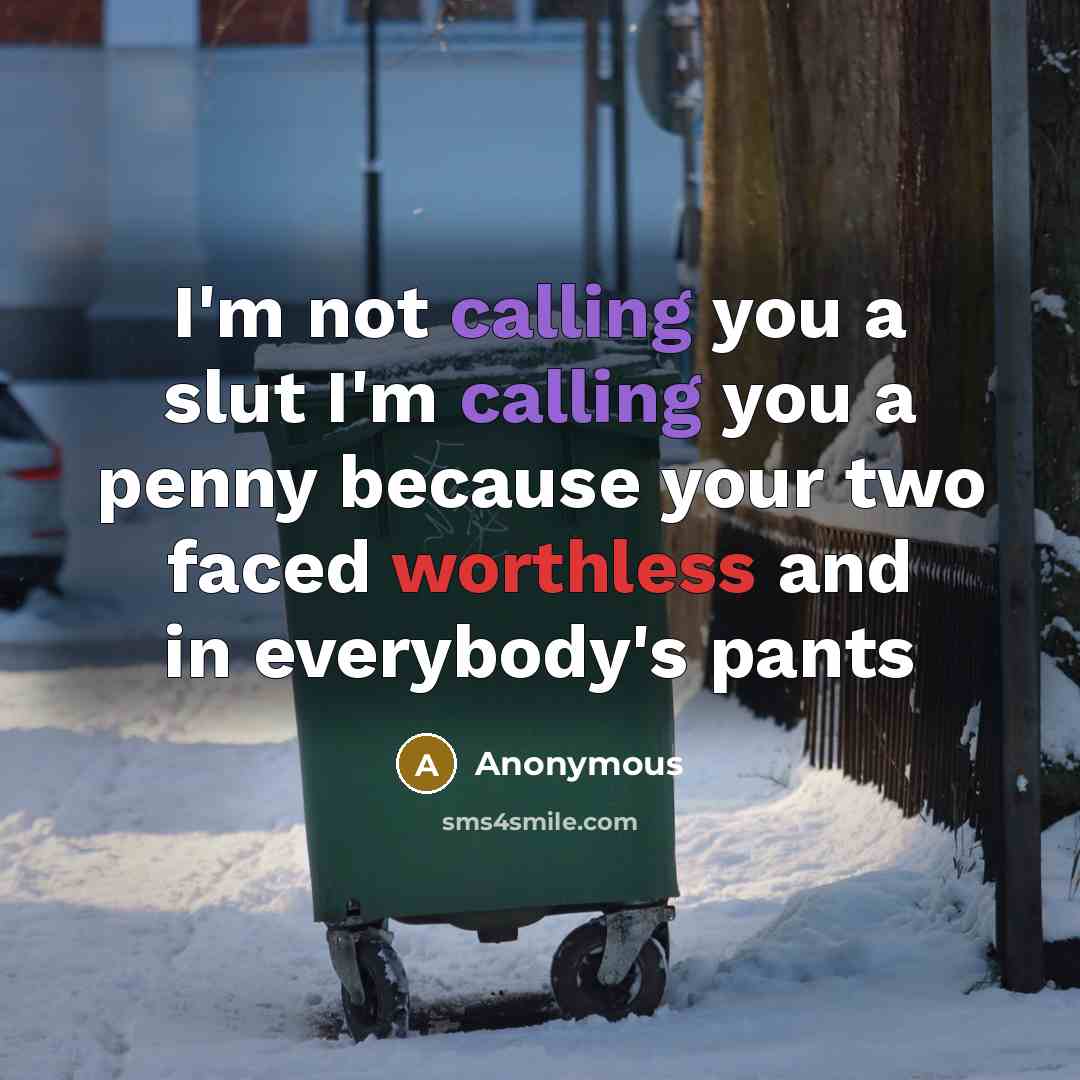 “I'm not calling you a slut I'm calling you a penny because your two faced worthless and in everybody's pants” quote by Anonymous