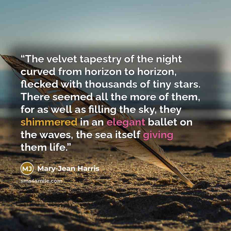 “The velvet tapestry of the night curved from horizon to horizon, flecked with thousands of tiny stars. There seemed all the more of them, for as well as filling the sky, they shimmered in an elegant ballet on the waves, the sea itself giving them life.” quote by Mary-Jean Harris