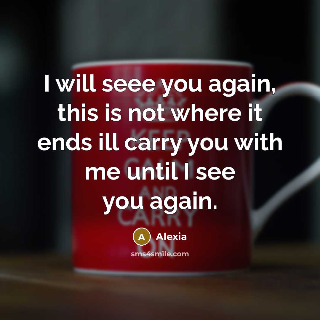 “I will seee you again, this is not where it ends ill carry you with me until I see you again.” quote by Alexia