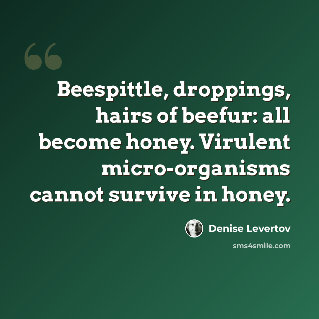 “Beespittle, droppings, hairs of beefur: all become honey. Virulent micro-organisms cannot survive in honey.” quote by Denise Levertov