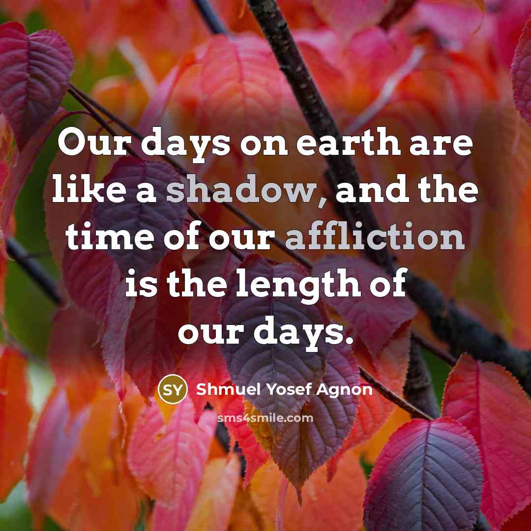 “Our days on earth are like a shadow, and the time of our affliction is the length of our days.” quote by Shmuel Yosef Agnon