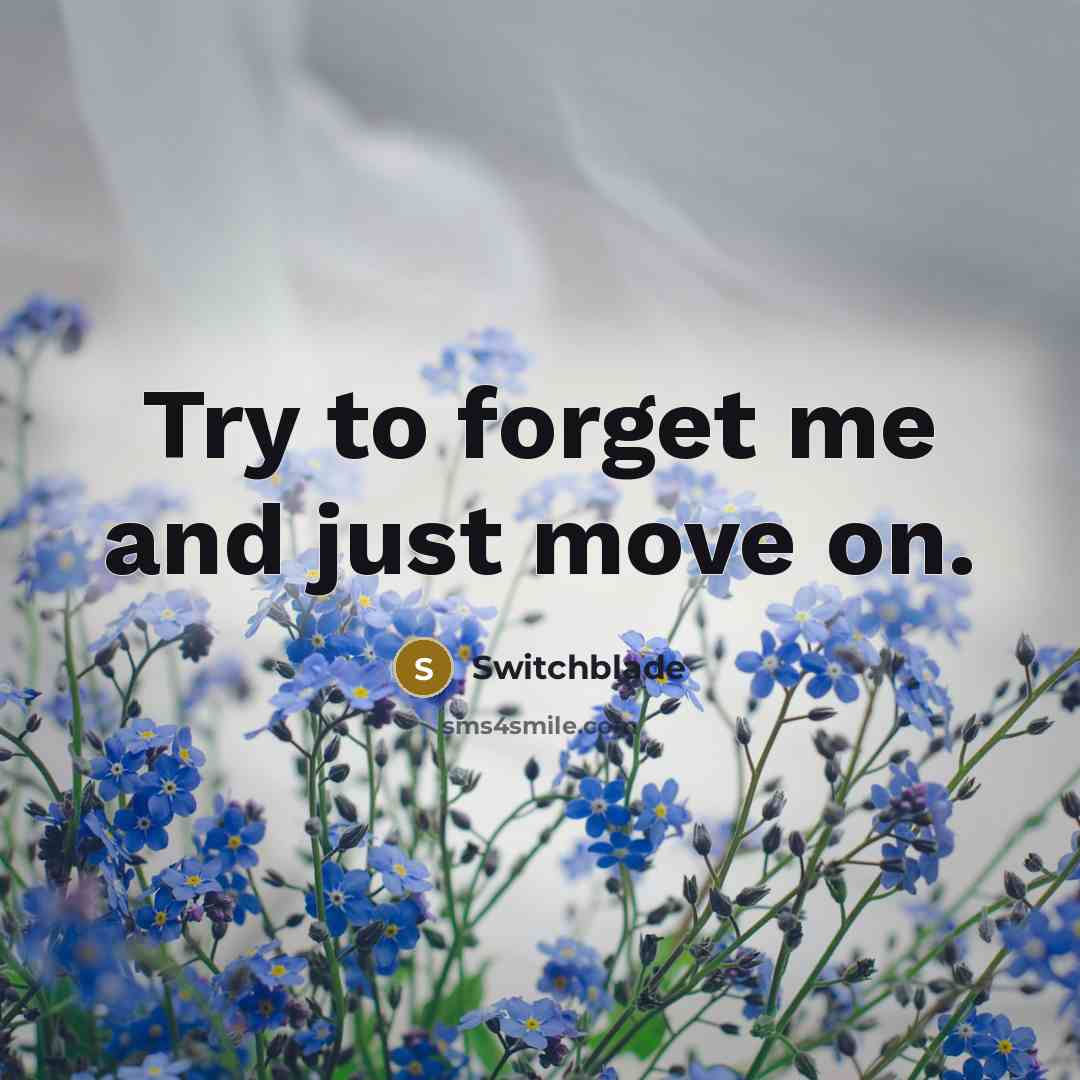 “Try to forget me and just move on.” quote by Switchblade