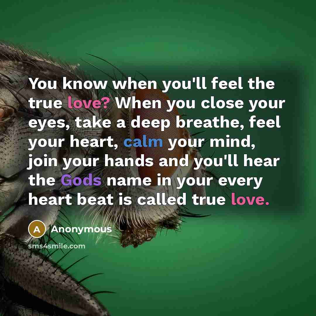 “You know when you'll feel the true love? When you close your eyes, take a deep breathe, feel your heart, calm your mind, join your hands and you'll hear the Gods name in your every heart beat is called true love.” quote by Anonymous