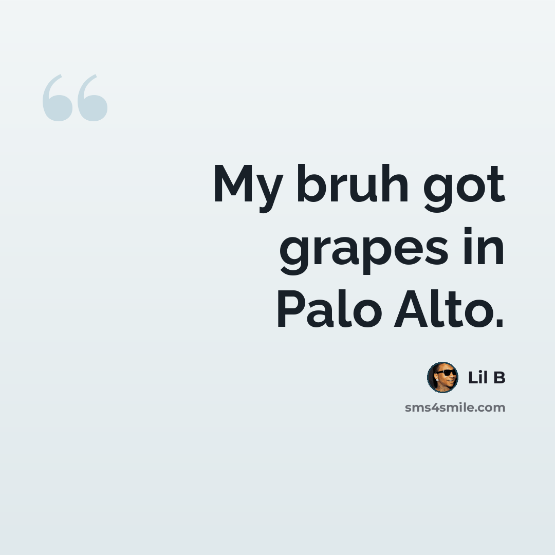 “My bruh got grapes in Palo Alto.” quote by Lil B