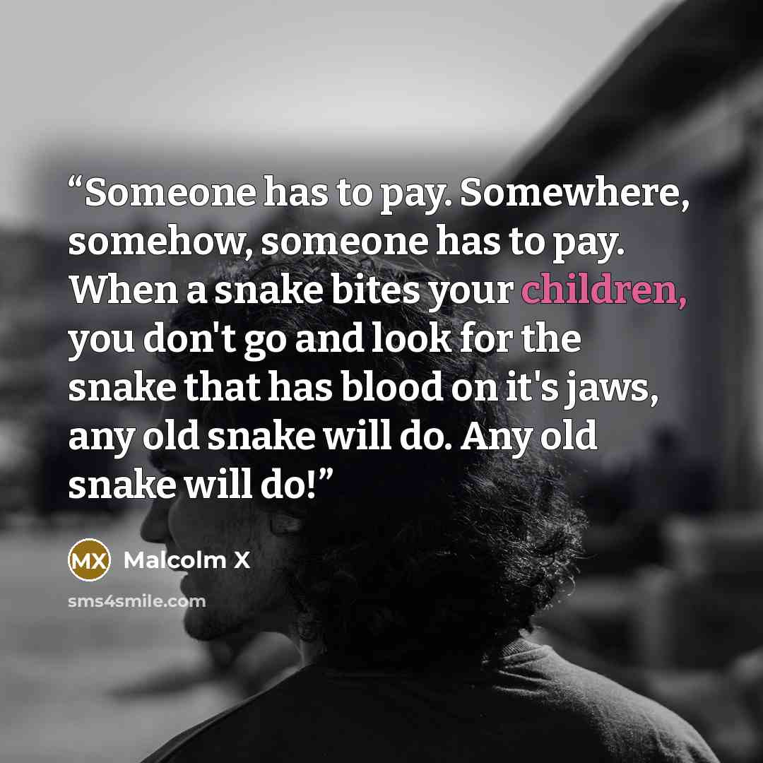 “Someone has to pay. Somewhere, somehow, someone has to pay. When a snake bites your children, you don't go and look for the snake that has blood on it's jaws, any old snake will do. Any old snake will do!” quote by Malcolm X