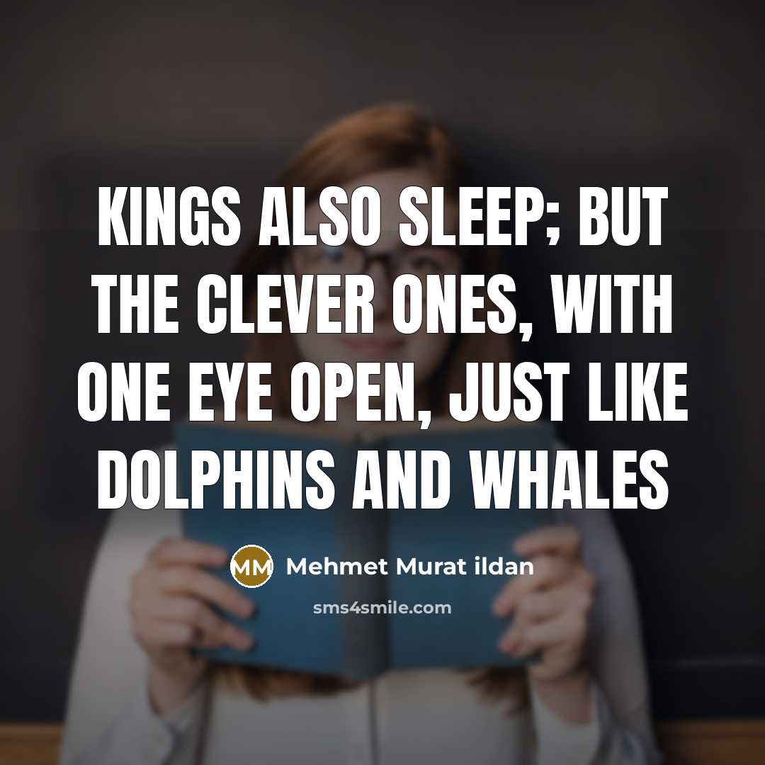 “Kings also sleep; but the clever ones, with one eye open, just like dolphins and whales” quote by Mehmet Murat Ildan