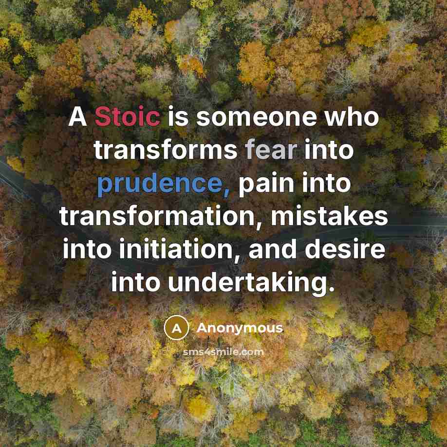 “A Stoic is someone who transforms fear into prudence, pain into transformation, mistakes into initiation, and desire into undertaking.” quote by Anonymous