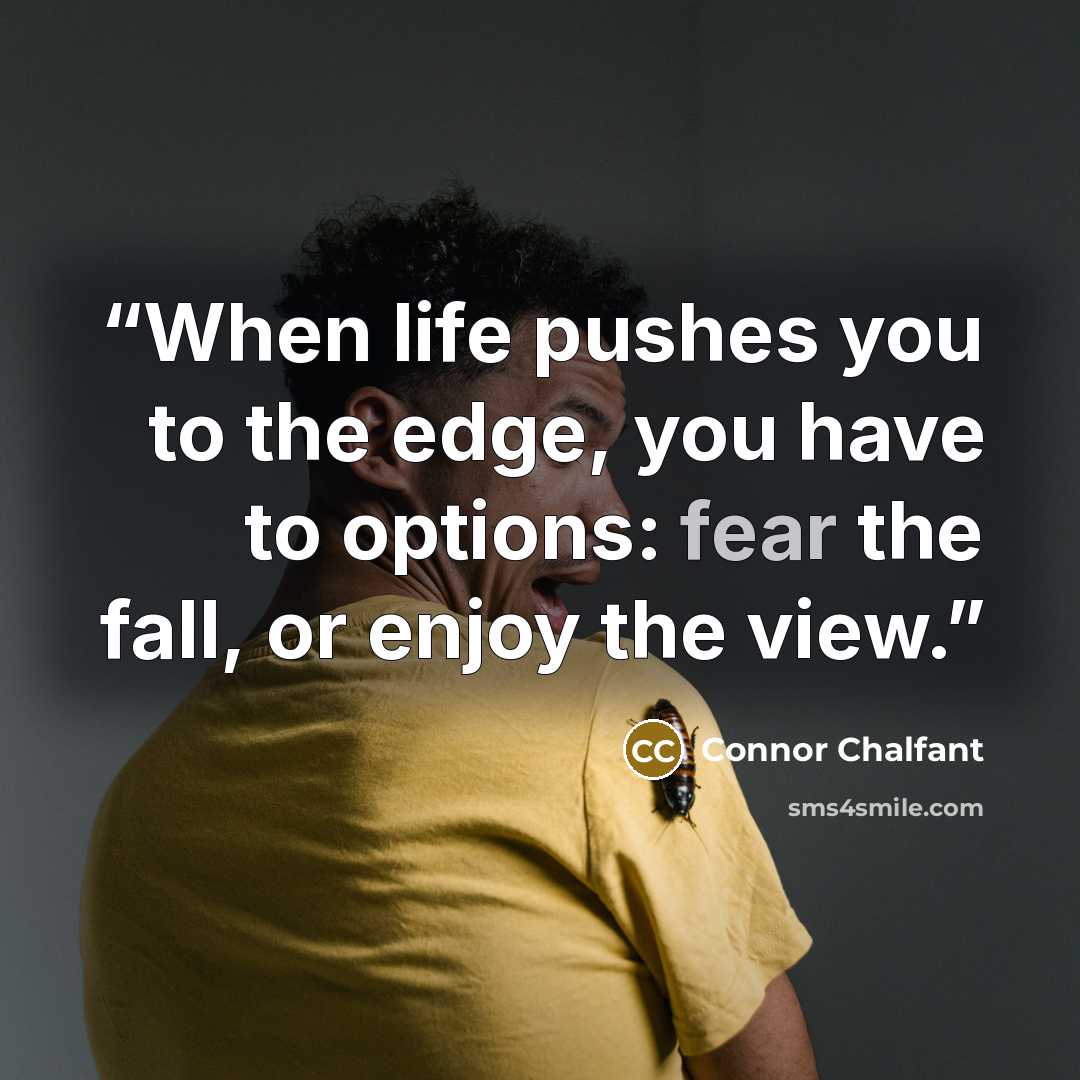 “When life pushes you to the edge, you have to options: fear the fall, or enjoy the view.” quote by Connor Chalfant