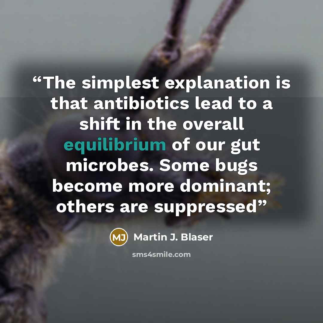 “The simplest explanation is that antibiotics lead to a shift in the overall equilibrium of our gut microbes. Some bugs become more dominant; others are suppressed” quote by Martin J. Blaser