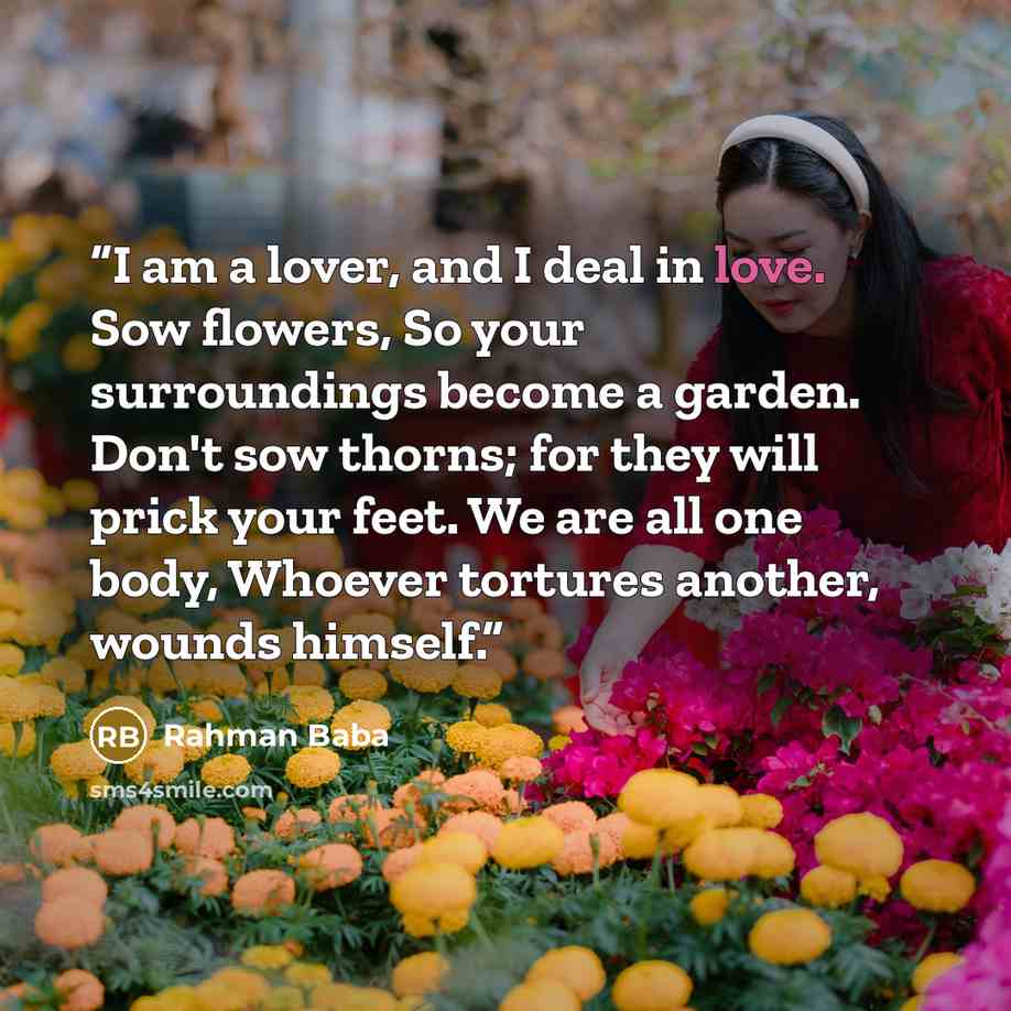 “I am a lover, and I deal in love. Sow flowers, So your surroundings become a garden. Don't sow thorns; for they will prick your feet. We are all one body, Whoever tortures another, wounds himself.” quote by Rahman Baba
