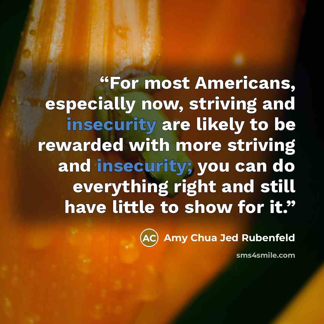 “For most Americans, especially now, striving and insecurity are likely to be rewarded with more striving and insecurity; you can do everything right and still have little to show for it.” quote by Amy Chua Jed Rubenfeld